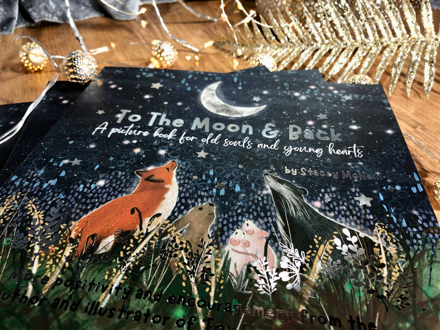 Book:'To The Moon & Back' from 'Fox Under The Moon'