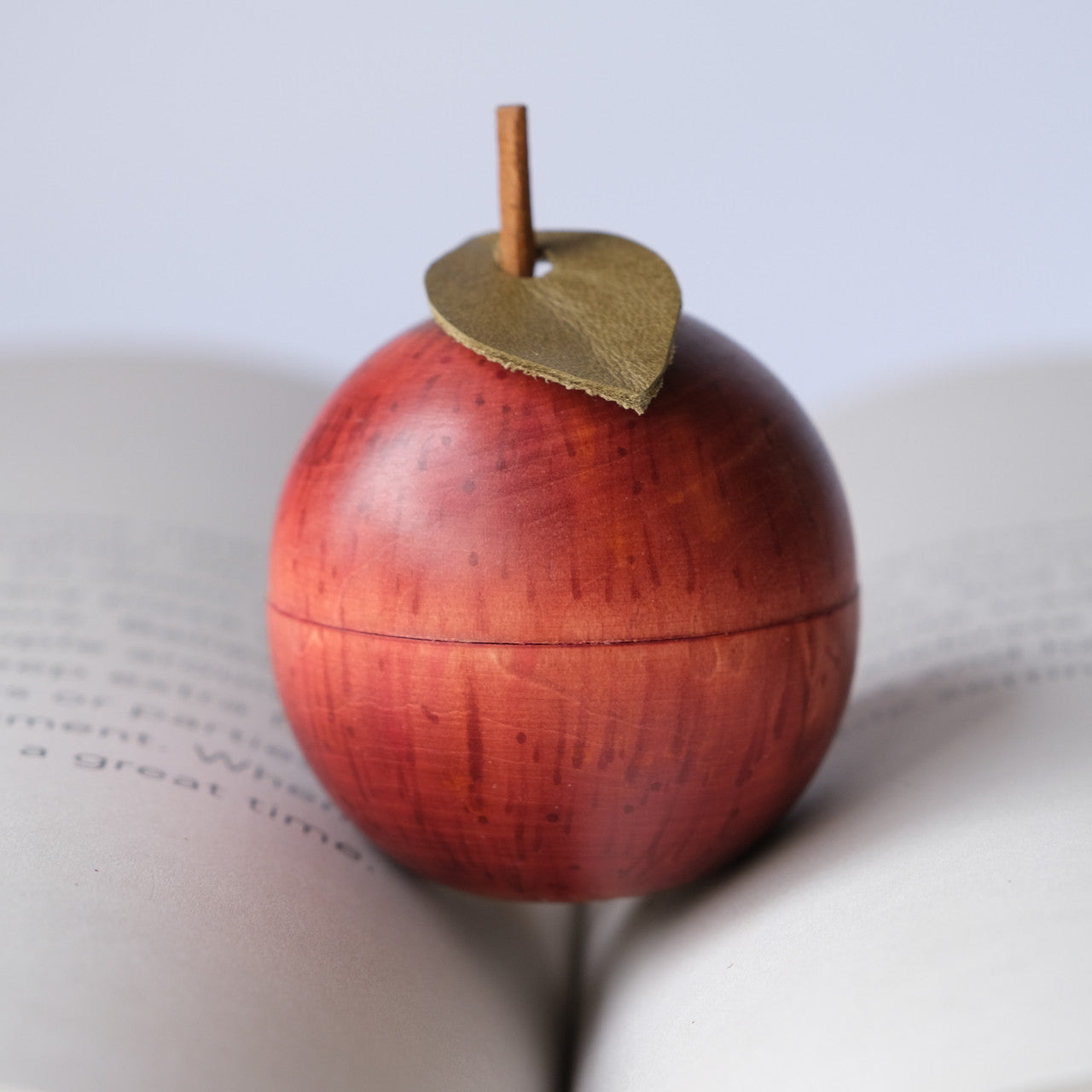 Hand-Painted Wooden Apple – A Unique Keepsake with Your Special Message