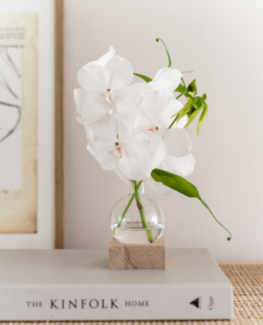 "Hold It" Multifunctional Holder – A Beautiful Display for Flowers, Candles, Photos, and More