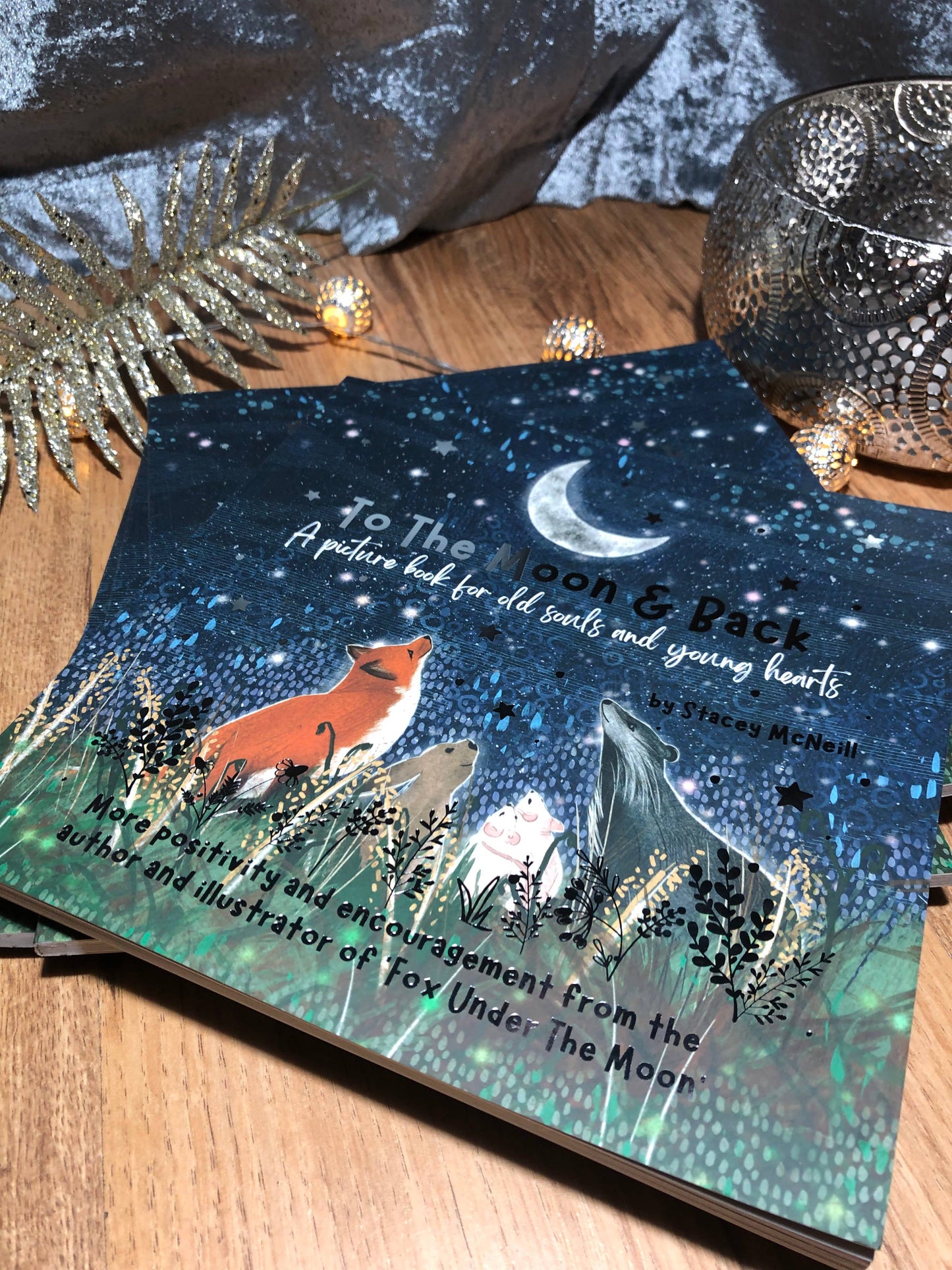Book:'To The Moon & Back' from 'Fox Under The Moon'